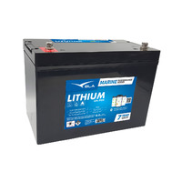 111175   BLA   Invicta Lithium Series