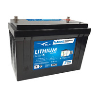 111177   BLA   Invicta Lithium Series