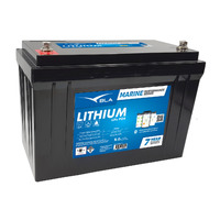 111179   BLA   Invicta Lithium Series