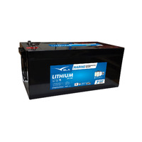 111182   BLA   Invicta Lithium Series