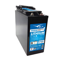 111184   BLA   Invicta Lithium Series