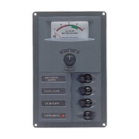 113141   BLA   BEP a€˜Contoura€™ Circuit Breaker Panels - with Analogue Meters