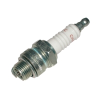 201504   BLA   Champion Marine Spark Plugs