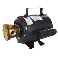 11810-0003     Jabsco Bronze AC Motor Pump Unit - 115v     34540
