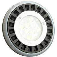 LLB-55NN-81-00     Lunasea Replacement Bulb f/PAR36 Sealed Beam Lights     52385