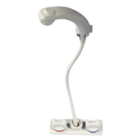 RT2498     Whale Elegance Combination Pull Out Mixer Faucet/Shower     59192