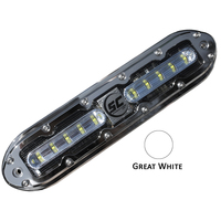 SCM-10-GW-20     Shadow-Caster SCM-10 LED Underwater Light w/20' Cable - 316 SS Housing - Great White     62481