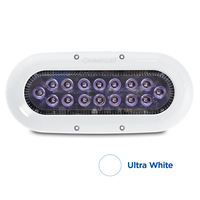 012308W     OceanLED X-Series X16 - White LEDs     64272