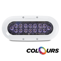 012311C     Ocean LED X-Series X16 - Colours LEDs     64274