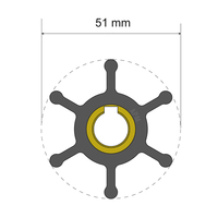 06-01-007     Albin Pump Premium Impeller Kit - 51 x 12.7 x 22mm - 6 Blade - Key Insert     77966