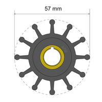 06-01-013     Albin Pump Premium Impeller Kit 57 x 12.7 x 20mm - 12 Blade - Key Insert     77972