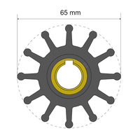 06-01-019     Albin Pump Premium Impeller Kit 65 x 15.8 x 51mm - 12 Blade - Key Insert     77979