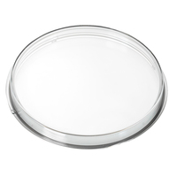 N05-800-286     Veratron Replacement Lens - 100MM     81183