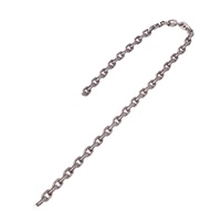 SP4207  Vetus Australia Part Chain 8mm DIN766 stainless steel AISI316 (price per m) 